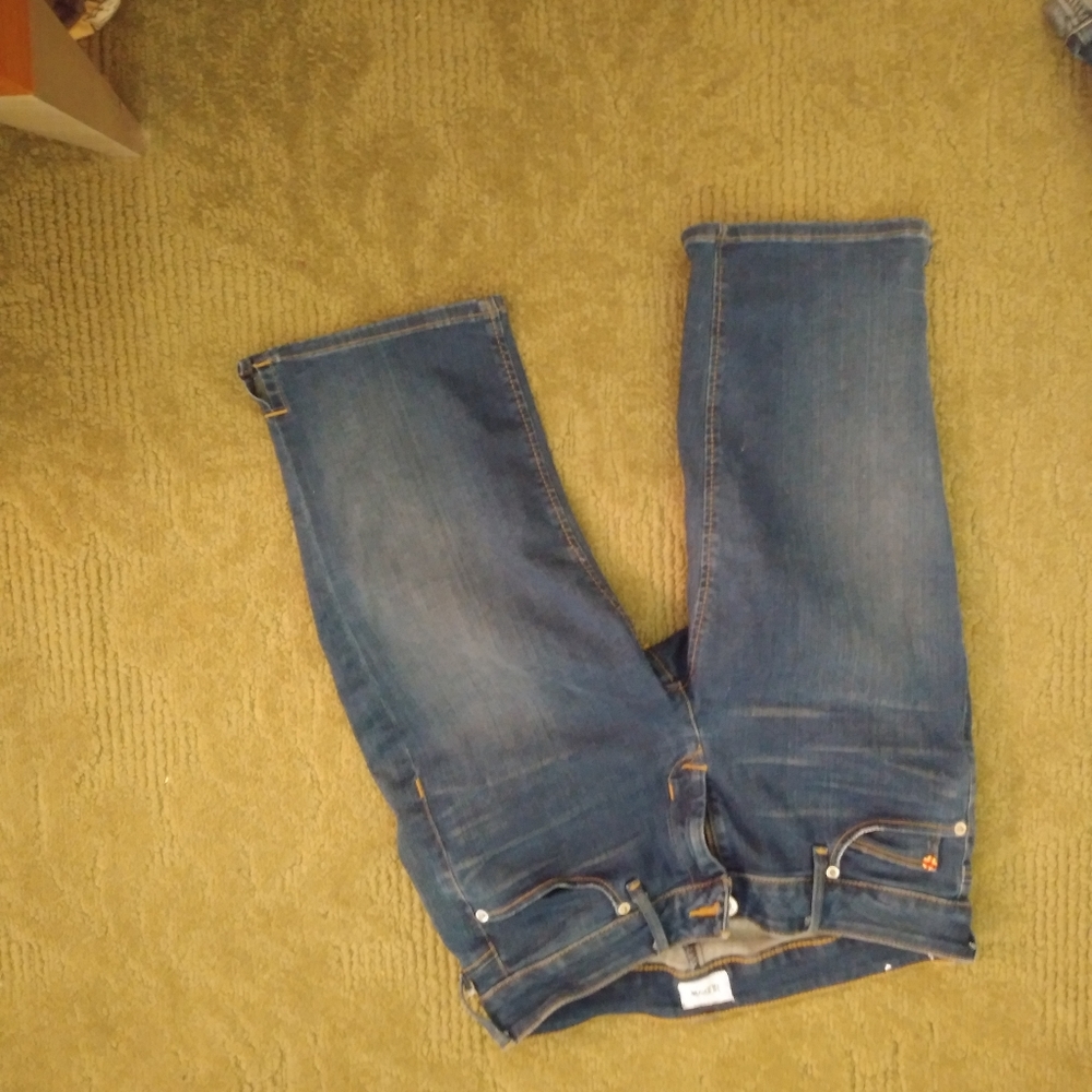 Designer Hudson Shorts  Size 8